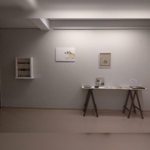 Centro Cultural UNIFATEA apresenta exposição “Emoções: O Ser e as coisas”