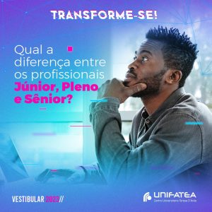 Qual a diferença entre profissional júnior, pleno e sênior?